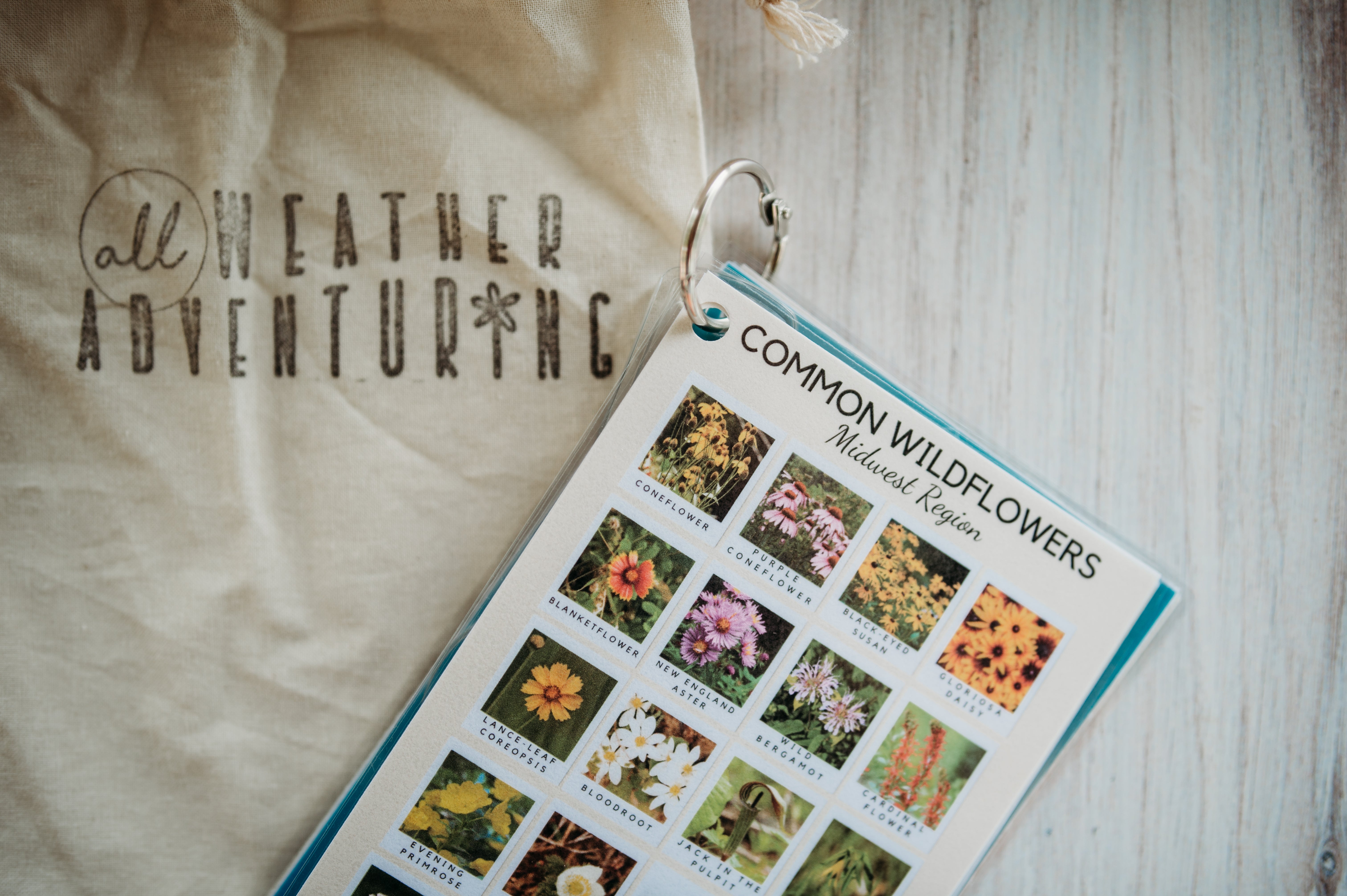 Regional Add-on Sheets โ All Weather Adventuring