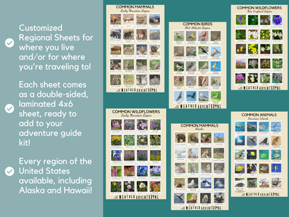 Regional Add-on Sheets