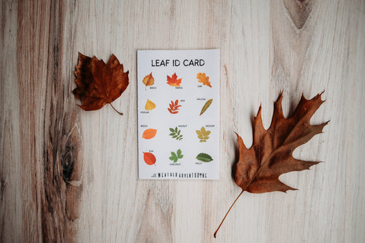 Cloud ID and Leaf ID Card Add-ons